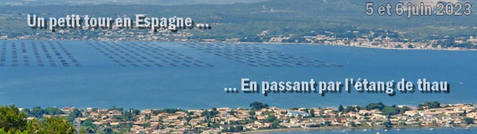 feu_fev_23.jpg